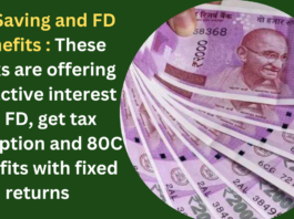 Tax Saving and FD Benefits : These banks are offering attractive interest on FD, get tax exemption and 80C benefits with fixed returns