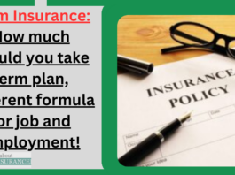 Term Insurance: How much should you take term plan, different formula for job and employment!