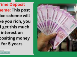 Time Deposit Scheme: This post office scheme will make you rich, you will get this much interest on depositing money for 5 years