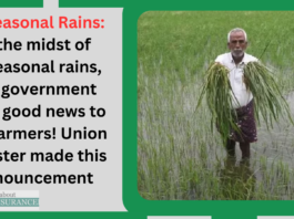 Unseasonal Rains: In the midst of unseasonal rains, the government gave good news to the farmers! Union Minister made this announcement