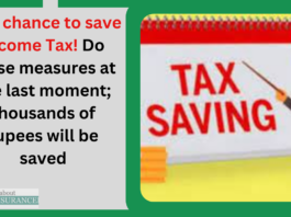 Last chance to save Income Tax! Do these measures at the last moment; thousands of rupees will be saved