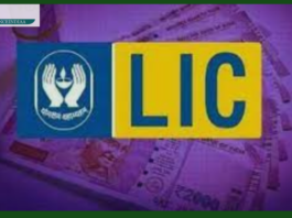 LIC Bima Ratna Plan: By investing a small amount every day, you will become the owner of 13 lakh rupees. Details here