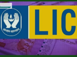 LIC Pension scheme : One time premium and lifelong pension arrangement, LIC's scheme, will become the support of old age