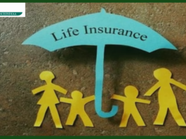 Life Insurance Tips: Keep these things in mind while buying life insurance, you will get more coverage at lower premium.