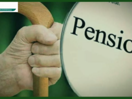 LIC Pension Scheme : Once the premium is paid, you will get pension for life, know what is LIC's Saral Pension Scheme