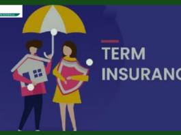 Term Insurance Plan : What To Keep In Mind Before Taking A Term Insurance Plan, Get Complete Information Here