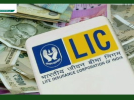 LIC brought 'Dhan Vridhi' plan, can apply till 30 September, will get these benefits