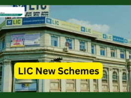 LIC Schemes: These schemes of LIC will make retirement tension free! Know full details here