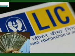 LIC Dhan Rekha Policy: This policy will work with life and even after, your loved ones will not face money problems