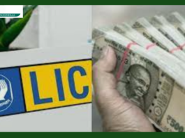 LIC Policy : Invest Rs 138 daily in LIC's policy, you will become owner of Rs 23 lakh