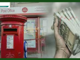 Post Office Scheme: Invest in this strong post office scheme, money will double soon!