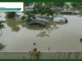 Vehicle Insurance Policy: Will the insurance company compensate for the vehicle damaged by flood?