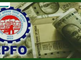 Insurance Scheme: How can EPFO ​​account holders take advantage of insurance of 7 lakhs? Learn everything here