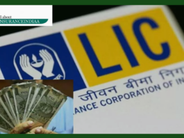 Big news for 13 lakh LIC agents! Government increased gratuity, commission and also took a big decision regarding pension.