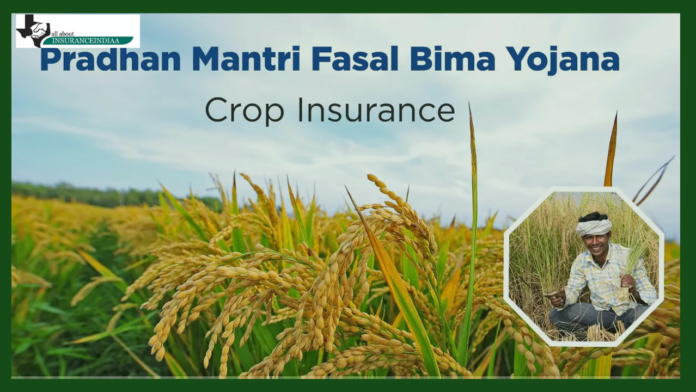 PM Fasal Bima Yojana : Now farmers have no tension due to floods and rains! Government will give compensation, take advantage like this