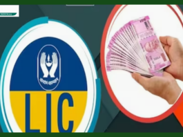 LIC new policy : Gift of 5.5% interest with guaranteed returns, LIC launches new policy