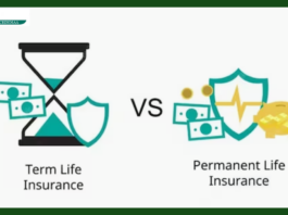 Insurance Policy : What is the difference between life insurance and term insurance, which one will be more beneficial for you?