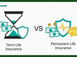 Insurance Policy : What is the difference between life insurance and term insurance, which one will be more beneficial for you?