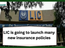 LIC is going to launch several new insurance policies! This new scheme is going to start in December, know complete details