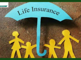 Life Insurance: If you have got life insurance or want to get it then good news is coming, the government is going to make a big announcement