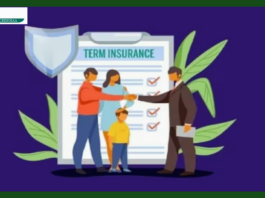 Term Insurance Rule: Murder or death on the second day of taking a term plan? What money will the nominee get?