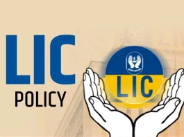 LIC Policy: Big news for LIC holders! Now you can buy insurance from this private bank too; Know complete details