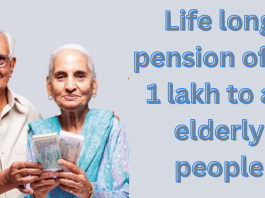 LIC New Pension Plan: Lifetime pension of Rs 1 lakh to all senior citizens, fill the form