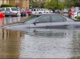 Vehicle Insurance Policy: Will the insurance company compensate for the vehicle damaged by flood?