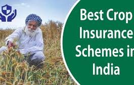 Crop Insurance Scheme : Farmer brothers, are you taking advantage of crop insurance for Rs 1 or not? Know the method of application and get protection!