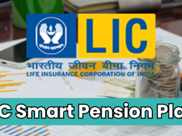 LIC Smart Pension Plan : Good news for retired people, LIC launched 'Smart Pension' scheme, you will get these benefits