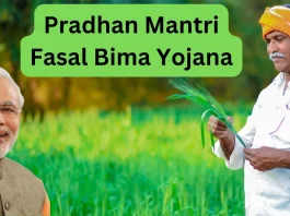 PM Fasal Bima Yojana: Get insurance for Rs 1, get compensation of Rs 60000, this scheme is a lifesaver for farmers